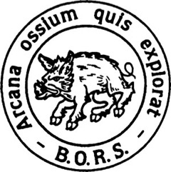 BORS-logo-for-web